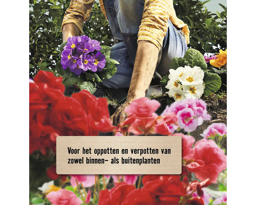 Tuinman bezig met het verpotten van zowel binnen- als buitenplanten