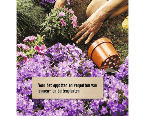 Potten en verpotten van binnen- en buitenplanten