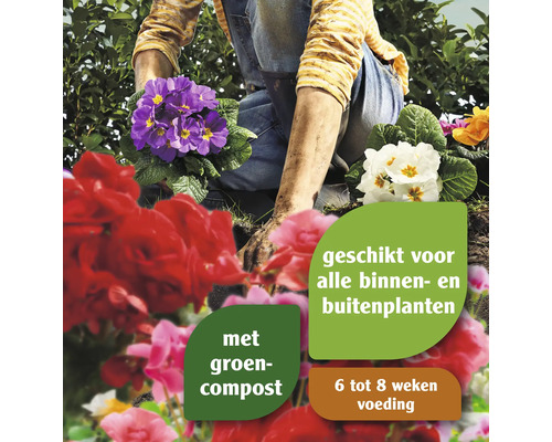 Persoon plant bloemen met potgrond, geschikt voor alle binnen- en buitenplanten, met groencompost, voeding voor zes tot acht weken.