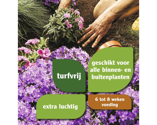 Persoon plant bloemen in turfvrije aarde, geschikt voor alle binnen- en buitenplanten, extra luchtig, met voeding voor zes tot acht weken