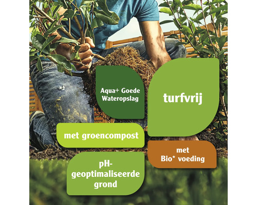 Een man plant een plant met aarde die verrijkt is met groencompost en biologische voeding, pH-geoptimaliseerd is, een goede wateropslag heeft en turfvrij is.