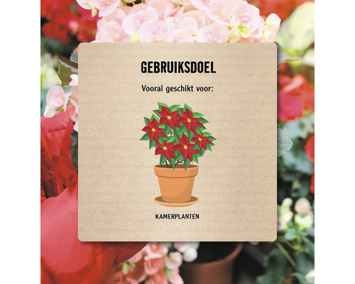 Symboolafbeelding: Geschikt voor kamerplanten