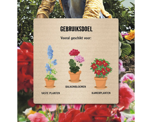 Informatiebord met illustraties van vaste planten, balkonplanten en kamerplanten voor gebruik in de tuin
