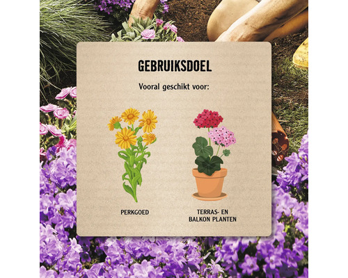 Informatie over het gebruik van perk- en balkonplanten