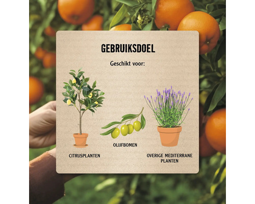Informatiebord met instructies voor gebruik voor citrusplanten, olijfbomen en andere mediterrane planten.