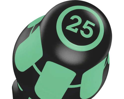 Halter met gewicht 25