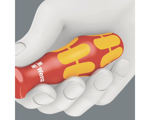 Wera schroevendraaier in een hand