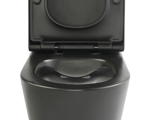 Zwart wandtoilet met open deksel