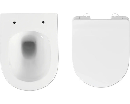 Keramisch wandcloset met diepspoeling en toiletzitting