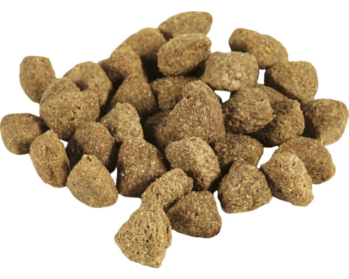Bruin droogvoer voor honden