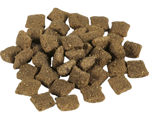 Bruin, vierkant droogvoer voor honden