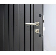 Detailopname van een voordeur met deurklink en slot