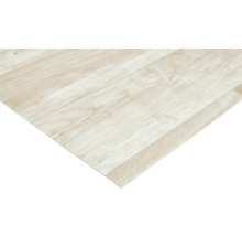 Houttegel in licht houten design voor binnenshuis