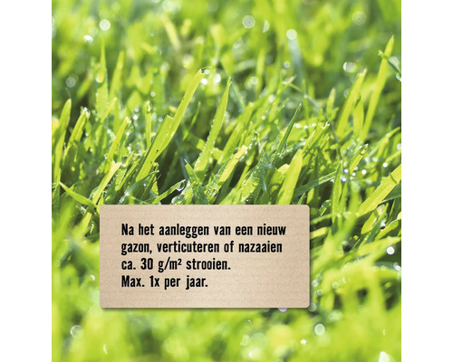 Informatie over gazononderhoud na de aanleg van een nieuw gazon