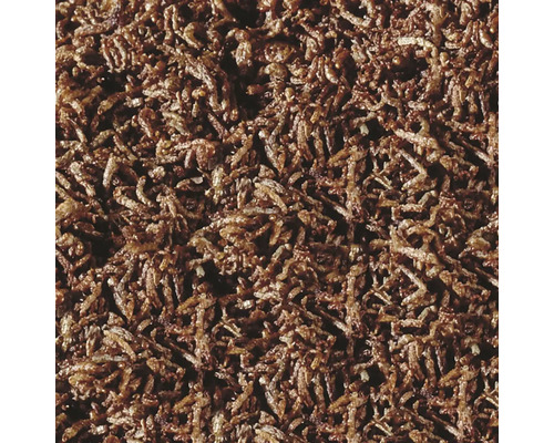 Close-up van gedroogde meelwormen als diervoeder