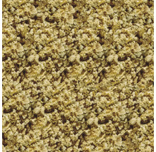 Close-up van vogelvoer