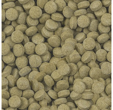 SERA Viformo Pleco Tabs Vissenvoer tabletten 250 ml