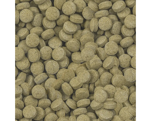 Close-up van visvoer tabletten