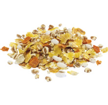 Müsli-ingrediënten met granenvlokken, gepofte rijst en stukjes wortel