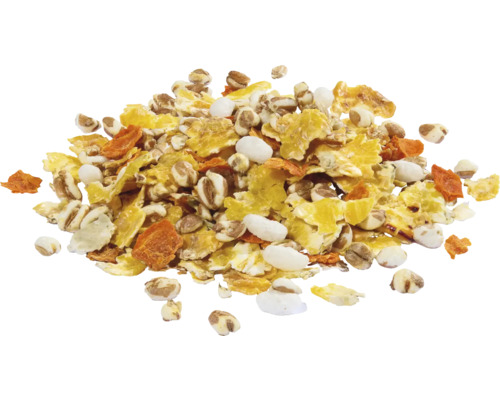 Müsli-ingrediënten met granenvlokken, gepofte rijst en stukjes wortel