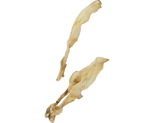 Twee aspergestengels