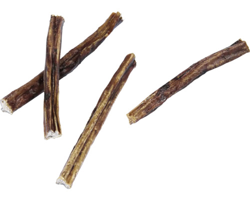 Verschillende bullenpezen voor honden