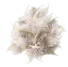 Varenstruik voor decoratie