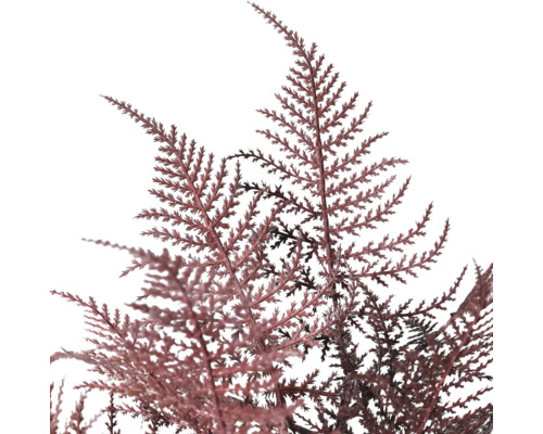 Close-up van een kunstmatige cypres