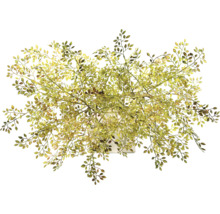 Decoratieve kunstplant met bladeren in pot