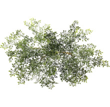 Bovenaanzicht van een kunstboom met groene bladeren.
