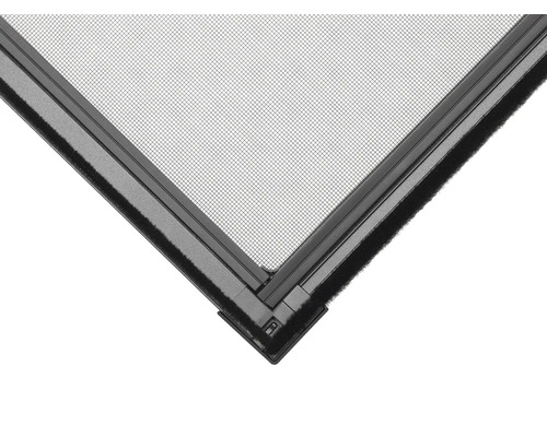 Detailopname van een insectenhor met frame