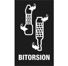 Bitorsion symbool