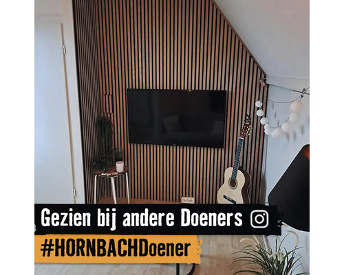 Woonkamer met houten lambrisering, televisie en gitaar