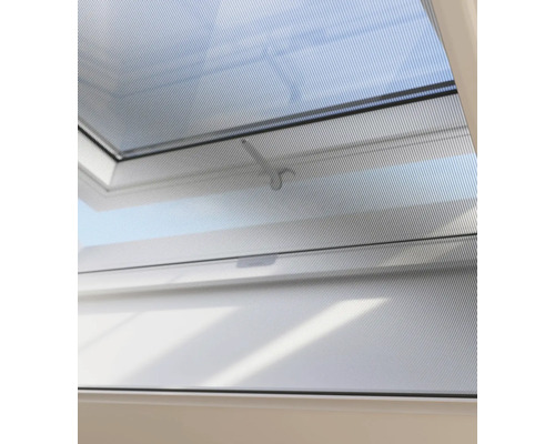 Horrengaas op een dakraam