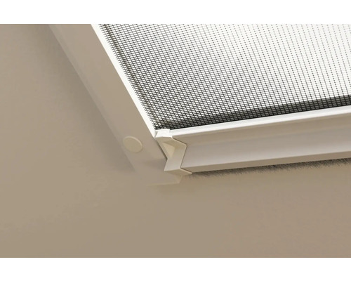 Detailopname van een insectenhor met wit frame.