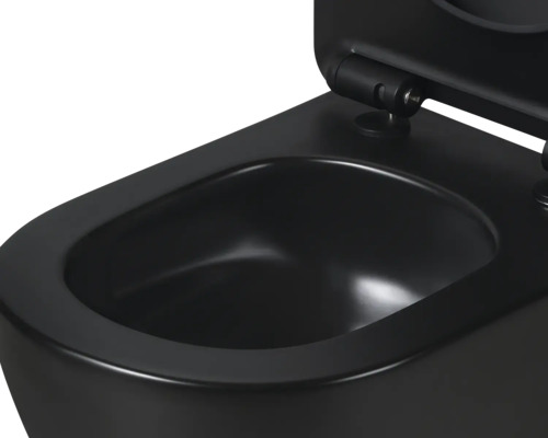 Zwart wandtoilet met open deksel