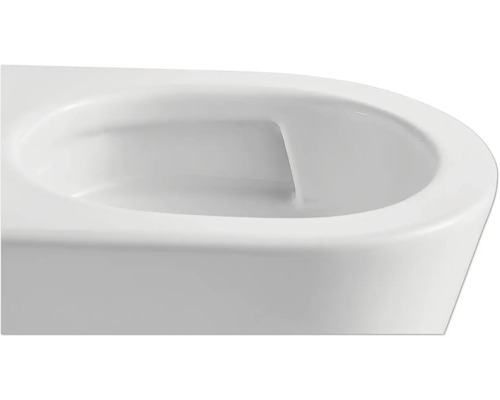 Close-up van een randloze toiletpot.