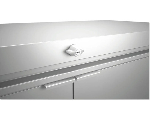 Detailaanzicht van een afsluitbare metalen kast met handgrepen