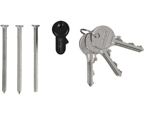 Schroeven, blanco sleutel en sleutels van Performa