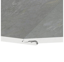 Plafondpaneel met veer en groef