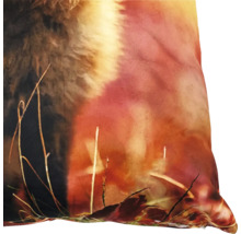 Decoratief kussen met natuurmotief