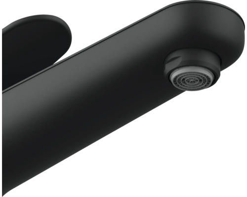 Zwarte kraan met ronde uitloop