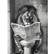 Leeuw zit op toilet en leest krant