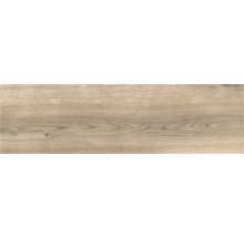 Houttegel met houtlook