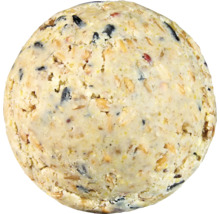 Vogelvoerbol voor tuinvogels