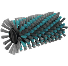 Borstelrol met borstelharen