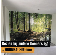 Kamer met fotobehang van een bos met stromend water