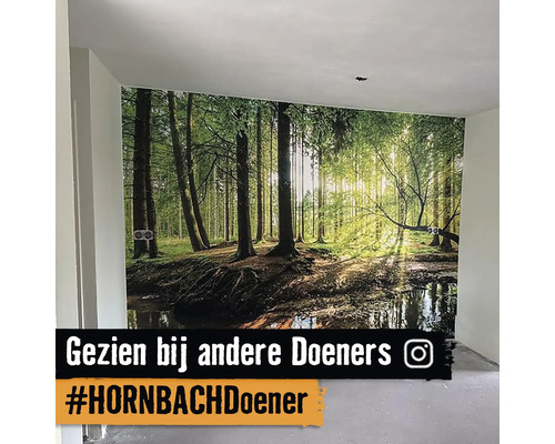 Kamer met fotobehang van een bos met stromend water