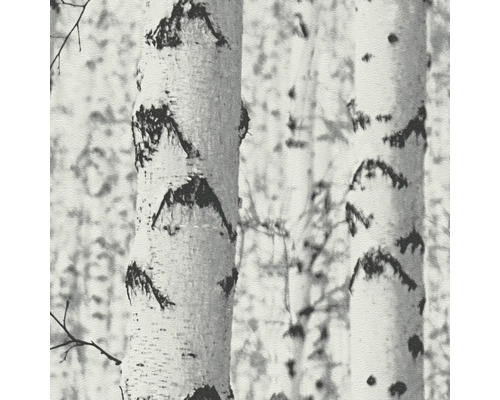 Close-up van berkenstammen