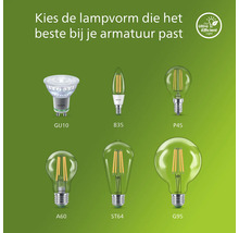 Selectie van verschillende lampvormen: GU10, B35, P45, A60, ST64 en G95